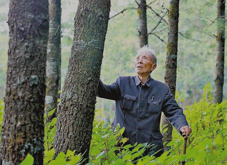 杨善洲植树造林,为梦想"自讨苦吃"21年