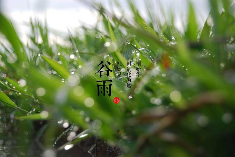 二十四节气中的第6个节气—谷雨,雨生百谷