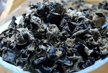 毛木耳,光木耳,春木耳,秋木耳,是有那么点不同的