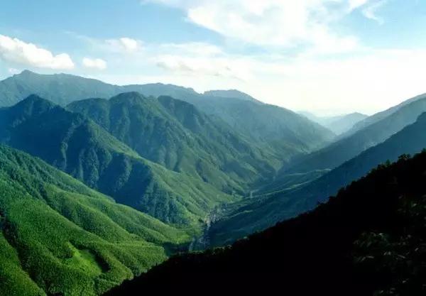 武夷山桐木关景色宜人