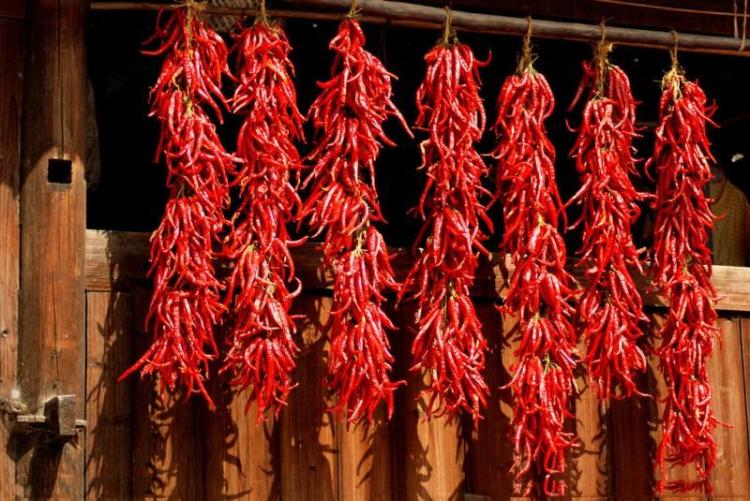 辣椒在明朝被引种到中国后 凭其火爆个性逐步成了辣味食材中的"大牌"