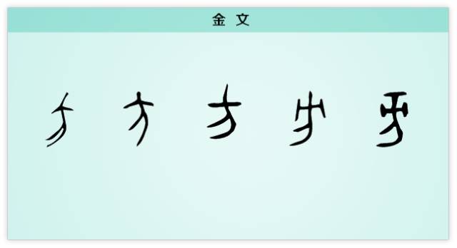 许慎的时代,盛行的是隶书,当时尚未发现甲骨文,金文,他依据的古文字