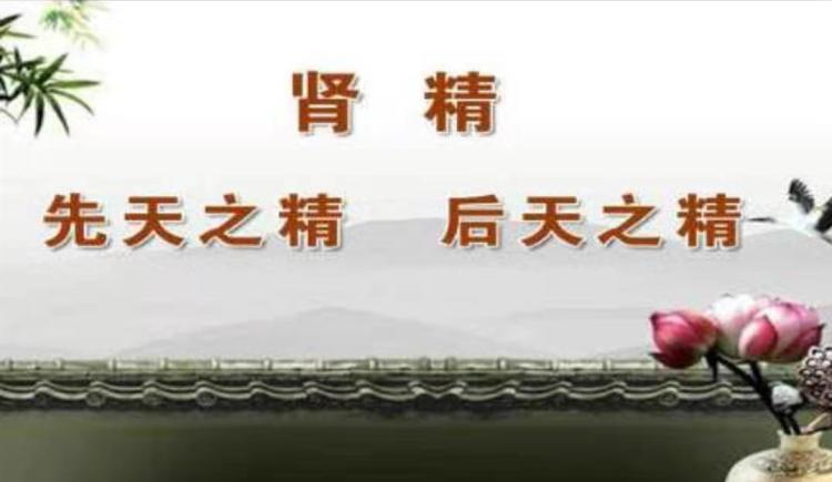 肾精,又称肾阴,是先天之精和后天之精的合称.