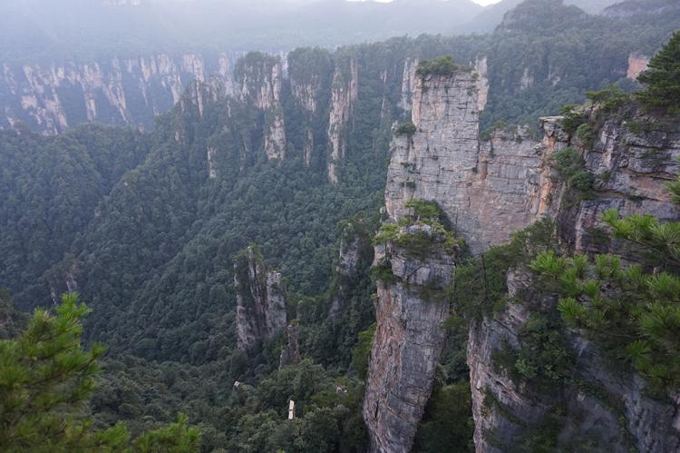 高高的天子山(上)