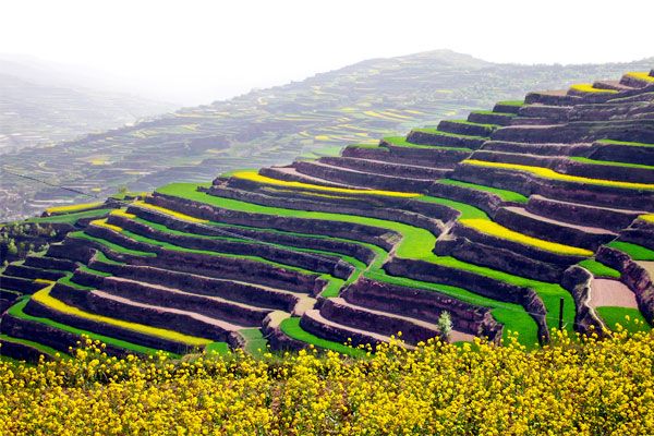 历史悠久,人杰地灵 梯田王国,瓜果之乡—甘肃庄浪(上)