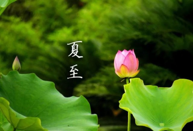 二十四节气中第10个节气——"夏至",二十四节气中最早