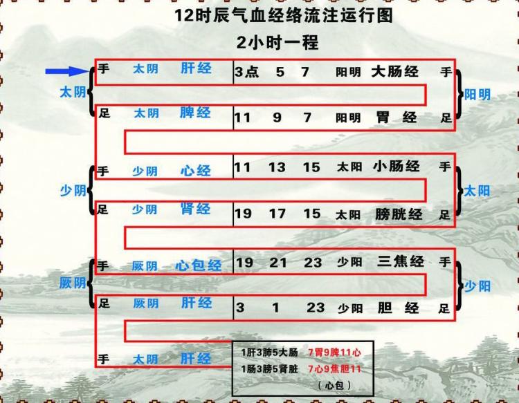 12时辰气血经络流注运行图