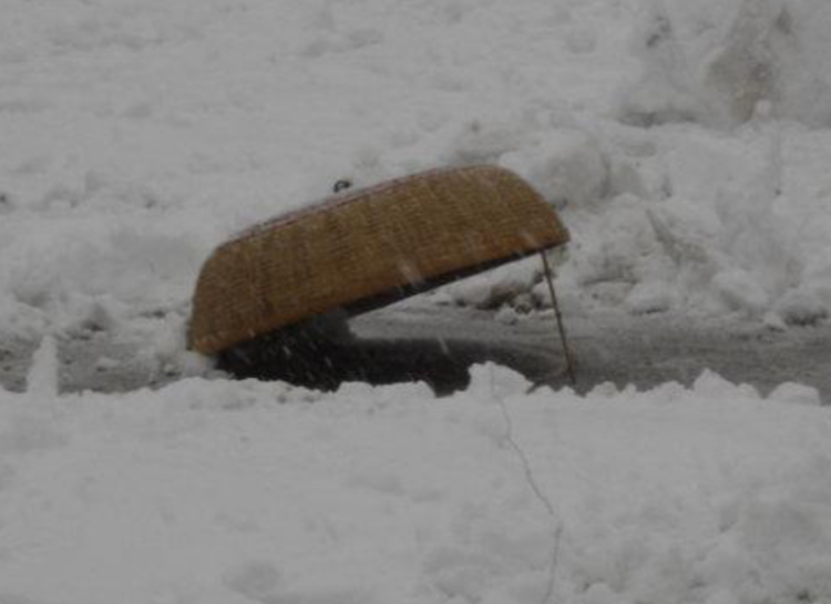 雪地捕鸟