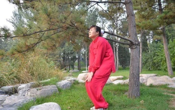 为何世人皆知有形意拳,而鲜闻心意拳?