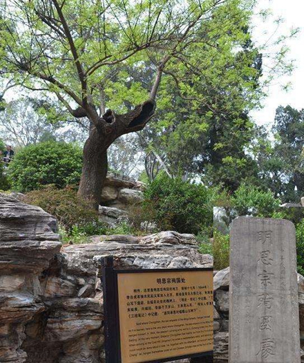 山东淄博有个古怪姓氏,历史上大有来头,竟是朱元璋后裔