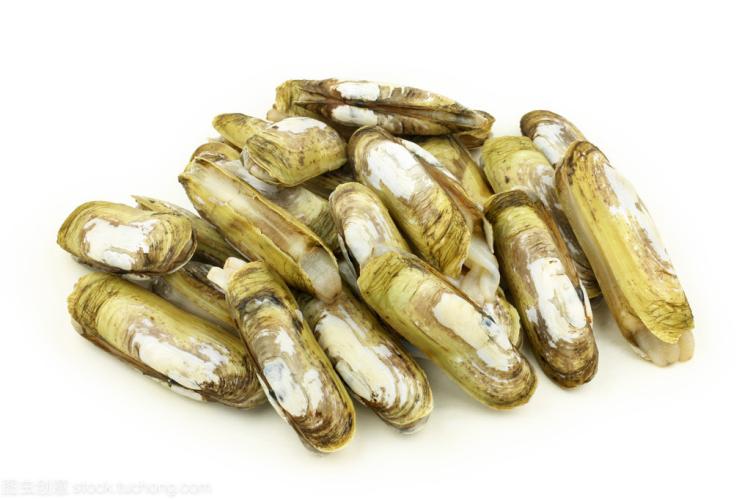 三门人把蛏子称为 把蛏叫作"鲜蛏,可见其味道之