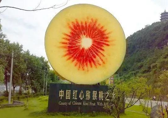 中国猕猴桃之乡——四川蒲江