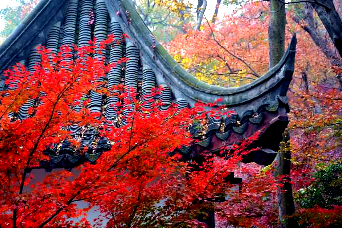 【曲子浅注 人月圆·甘露怀古 元·徐再思 江皋(gāo)楼观前朝寺